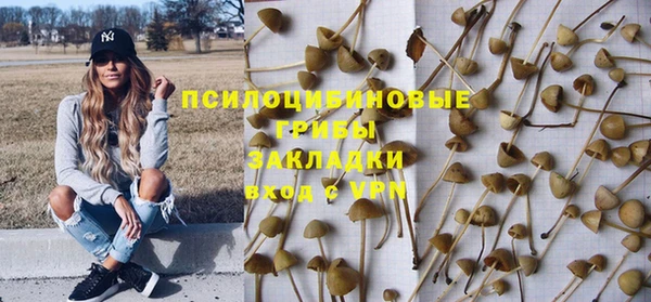 не бодяженный Медногорск