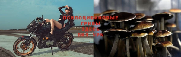 не бодяженный Медногорск