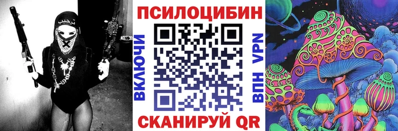 Купить закладки  Новая Ляля  Галлюциногенные грибы ЛСД 